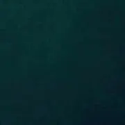 nnの画像