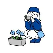 あおいの画像