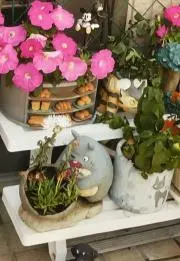 肉肉