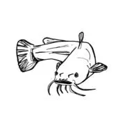 Image of 着画お断りマン