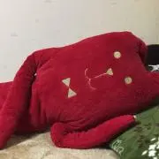 UD☆の画像