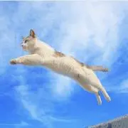 Maryの画像