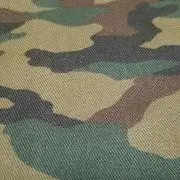 KBFの画像