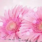 ⭐︎Kimika⭐︎の画像