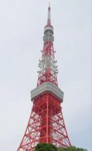 ベリーの画像