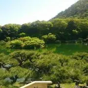 yoyoの画像