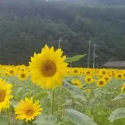 のー