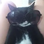 Si
