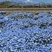 ゆき☆値下げ〇