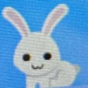 あいか。の画像