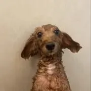 ひなたです