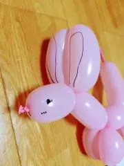 りむの画像