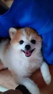 mica~プロフ読んでね。◕⁠‿⁠◕⁠の画像