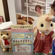 koharuの画像