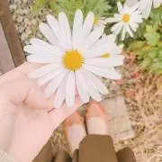 sa