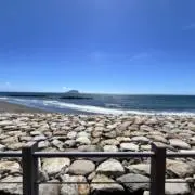 Inada reoの画像