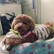 りおの画像