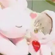 papiの画像