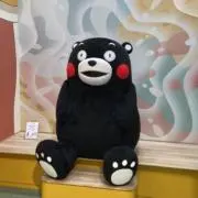 YBS