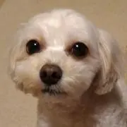 まろん0418の画像
