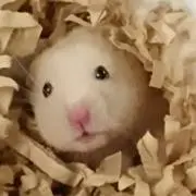 はやママ