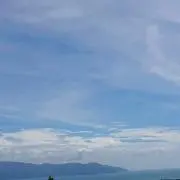 ゆゆの画像