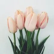 3024