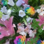 ララ☆の画像