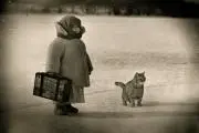 のらしろ