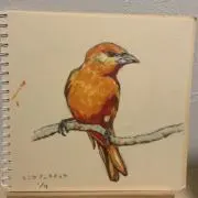 urunokoの画像