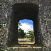 conapippi