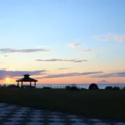 まめ吉の画像