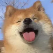 WEIの画像