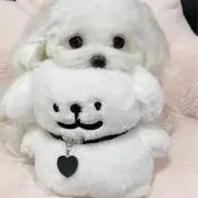 りの画像