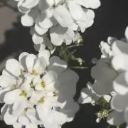 10もんの画像