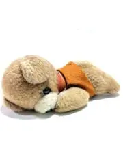 popo~の画像