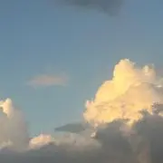 お寿司の画像