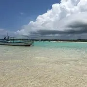 turkeyyの画像