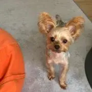 maluの画像