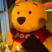 ハスネの画像