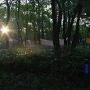 cobraの画像