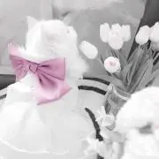 にゃむ♡の画像