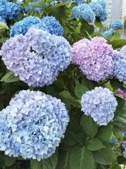 DeR☆プロフ見てね！の画像