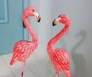 flamingoの画像