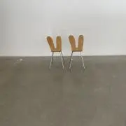 こむぎの画像