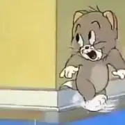 コンの画像