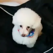 まぁくんまま