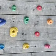 サボコの画像