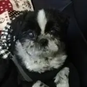 YUKA