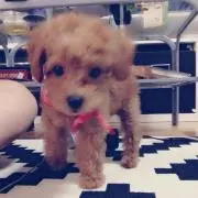 あーちゃん
